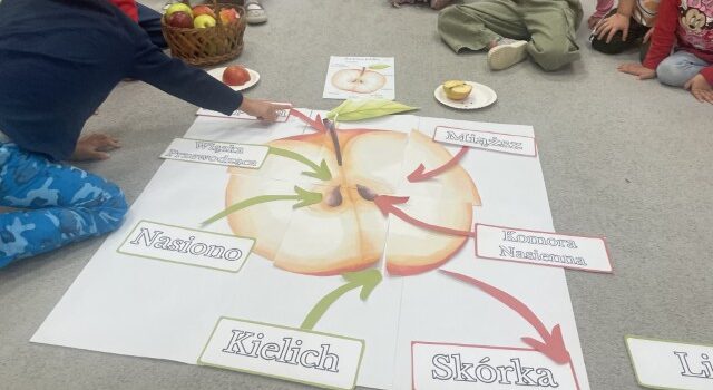 Wrzesień w przedszkolu – grupa 4