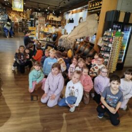 Przedszkolaki w Apilandii